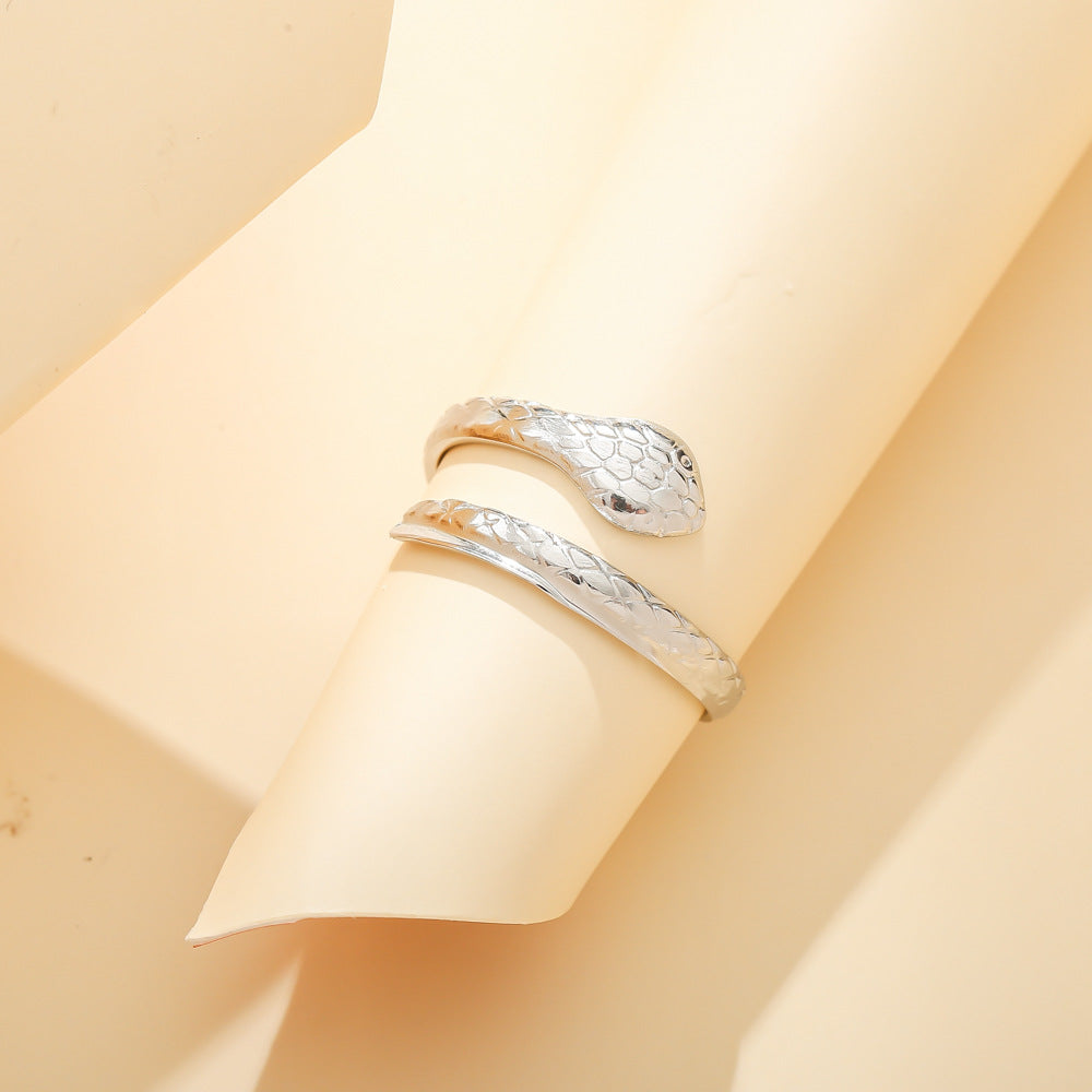 Stainless steel serpentine ring personality creative punk wind titanium steel finger ring hand